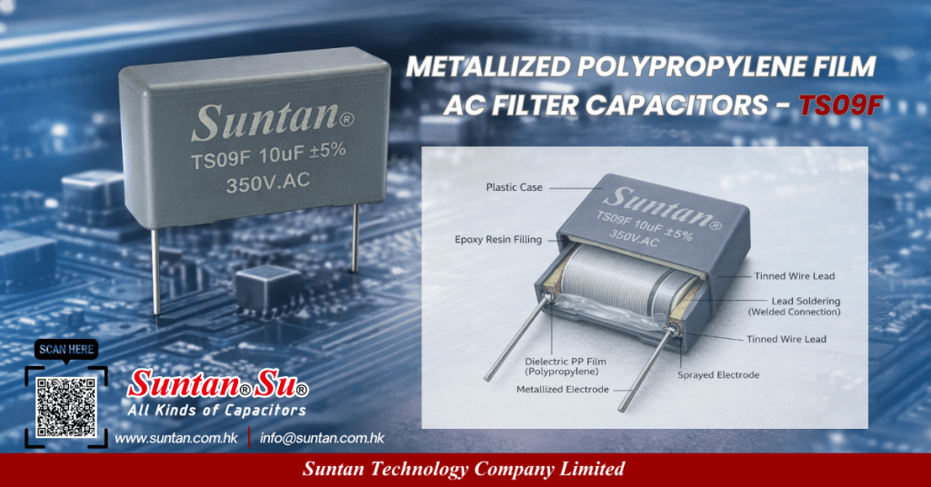 TS09F metallized polypropylene AC filter capacitor for UPS and DC AC inverter applications